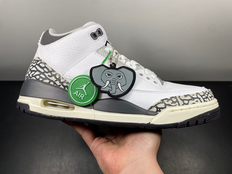 Air Jordan 3 GS “Hide N’ Sneak”