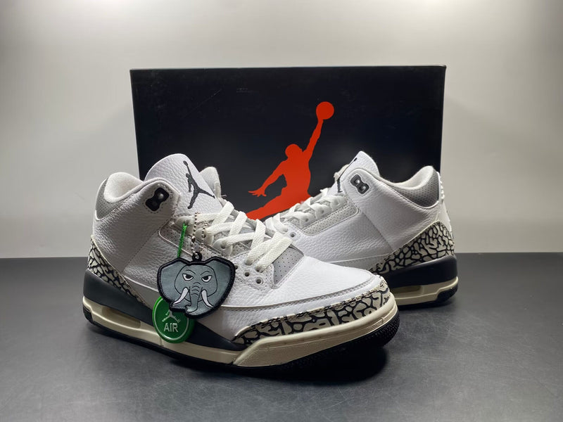 Air Jordan 3 GS “Hide N’ Sneak”