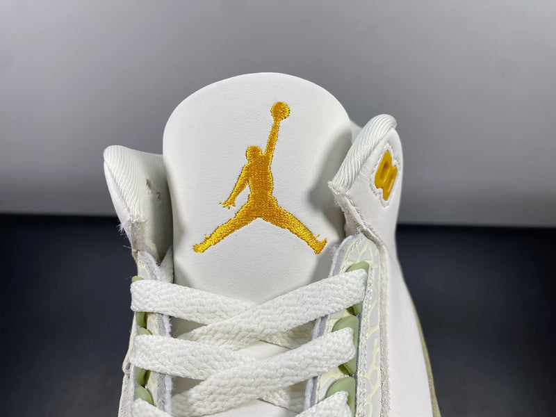 Air Jordan 3