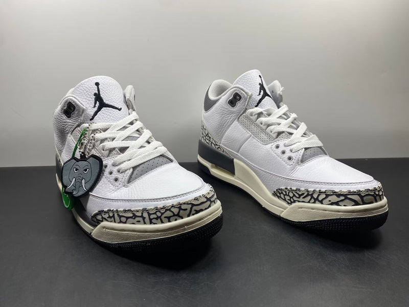 Air Jordan 3 GS “Hide N’ Sneak”