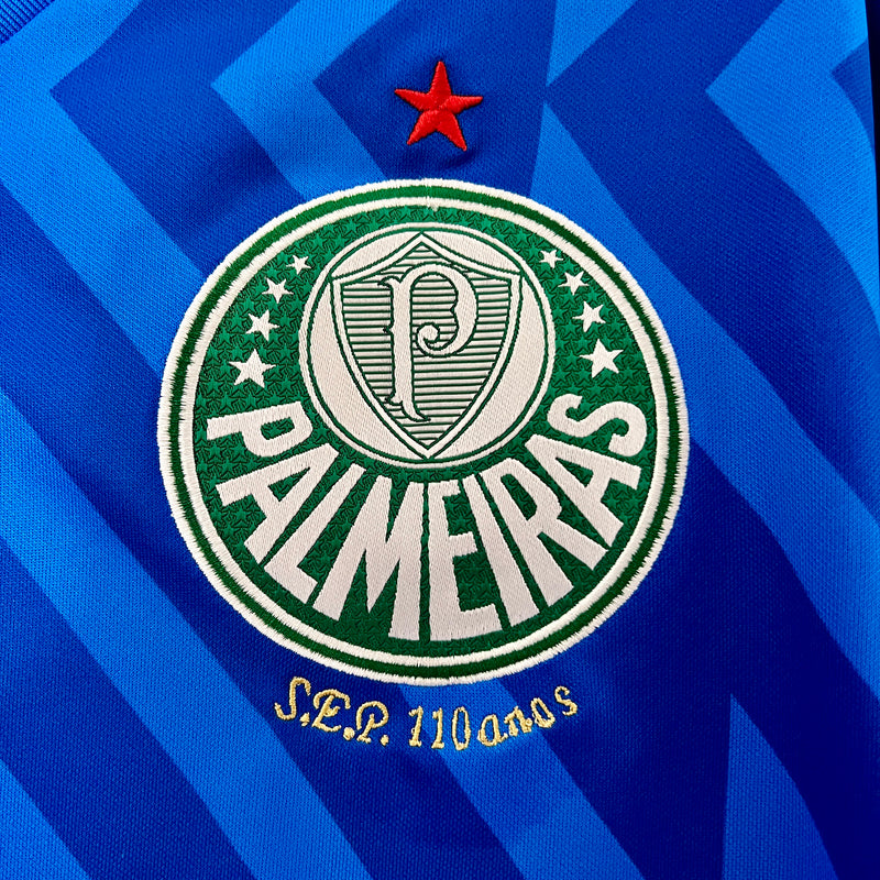 Camisa Palmeiras 24/25 Goleiro